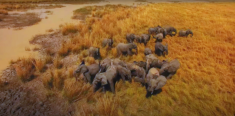 Blog_decouverte_Benin_Le_parc_national_de_la_Pendjari_2.jpg
