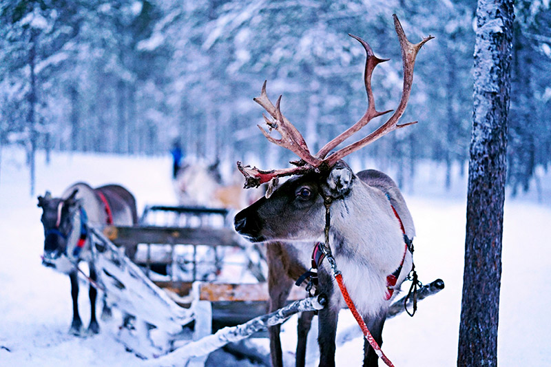 Ivalo__Inari__Finland_rennes.jpg